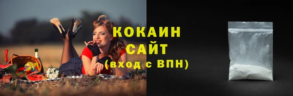спиды Пересвет