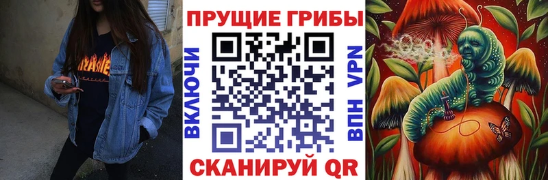Псилоцибиновые грибы GOLDEN TEACHER  мега сайт  shop какой сайт  Углич 