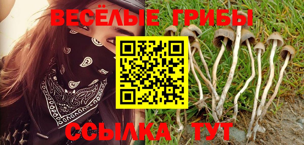 Псилоцибиновые грибы Magic Shrooms  Вход с VPN  Углич  Галлюциногенные грибы Psilocybe 